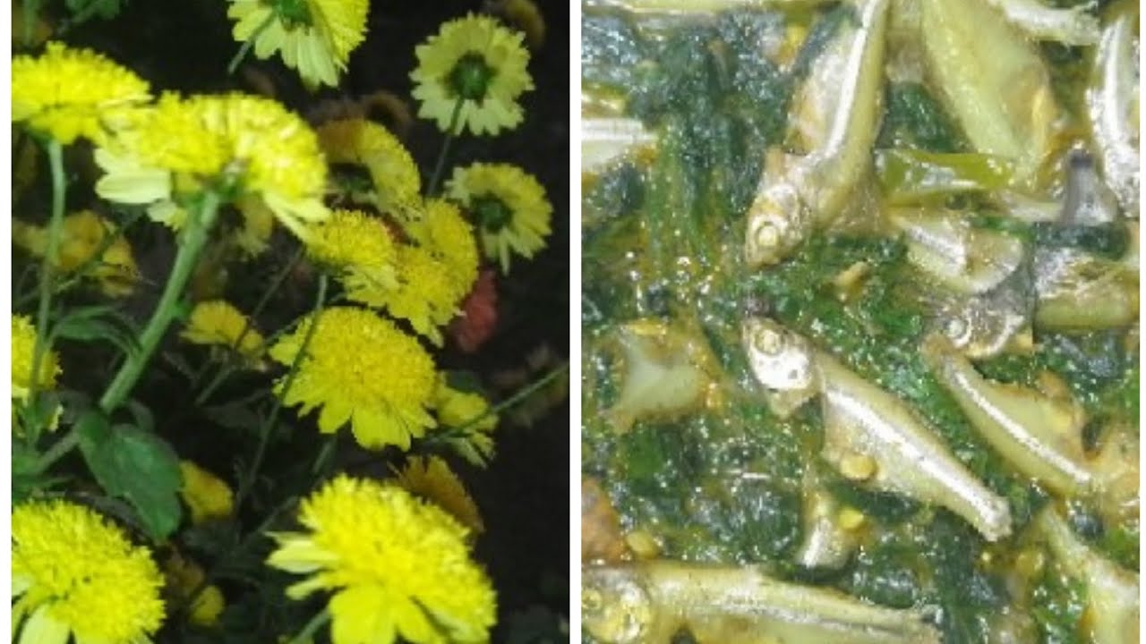 🐟বেশি স্বাদে দেশি মাছের বেশি মজার তরকারি রান্না করলাম।🐟 @faridakitchenwithvlog