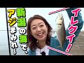 GO!GO!九ちゃんフィッシング #329 「新潟!アジ!泳がせ!クロダイ!? 前篇」