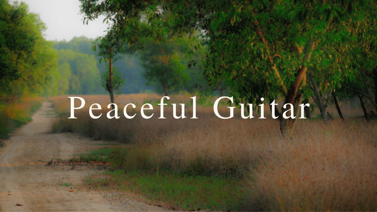 Peaceful Relaxing Guitar Music | Work Study Focus | 1 Hour - YouTube