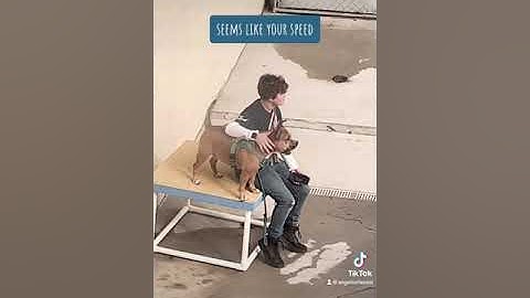 3041d442067b420d9f6a42b549381cac