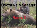 Охота на медведя Самые Жестокие моменты  нарезка 18+ Часть- 2.Бурый Медведь. Убийство медведя