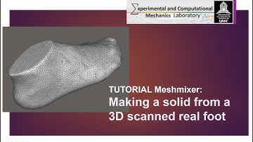 Meshmixer Tutorial | Making a solid from a 3D scanned real foot