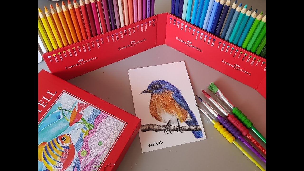 Desenhando Passarinho com lápis Aquarelavel 60 cores