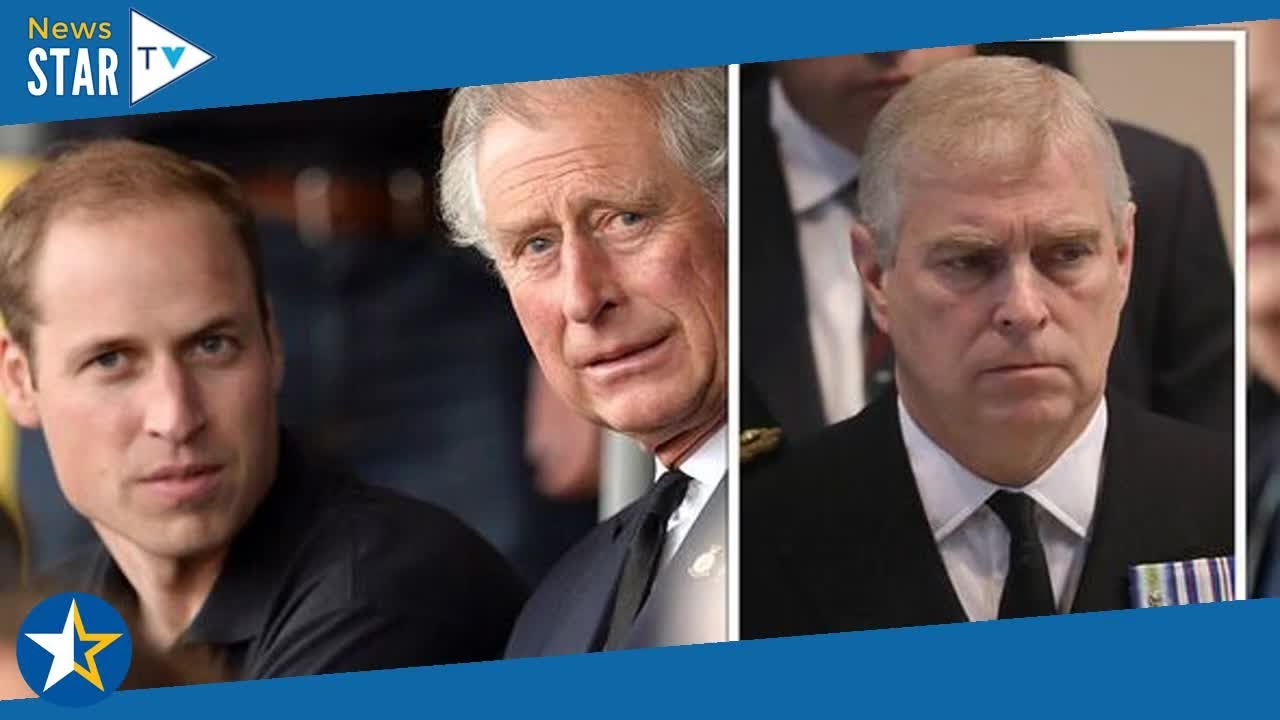 Prince Charles And William adamant Andrew Won t Return To Public Life