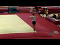 Wibye harald nor  2018 artistic worlds doha qat  qualifications floor exercise