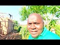 Three bedroom house roofing process