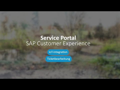 Service Portal mit SAP
