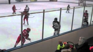 Hawks vs IceDogs 01232016 Period 3