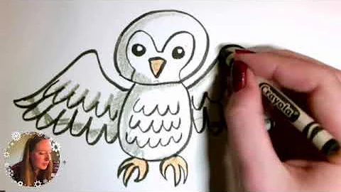 Draw a Snowy Owl!