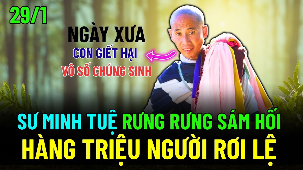 Sư Minh Tuệ Rưng Rưng Sám Hối Nhắc lại NGHIỆP SÁT SANH thời thơ ấu, người nghe KHÓC NGHẸN