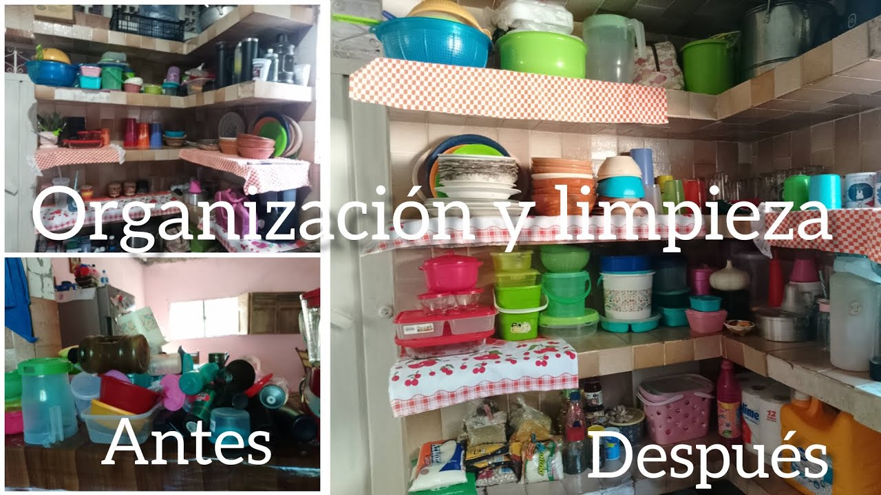 Organización y limpieza en área de trastes en cocina, platos, vasos tazas y etc, etc 