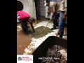 24 hour commercial water removal and structural drying