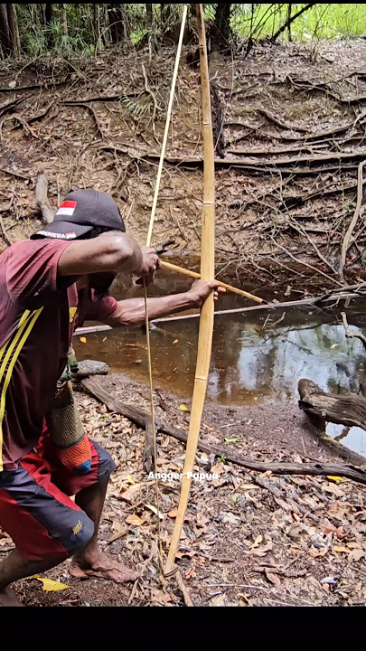 Panah ikan dan suara burung cendrawasih