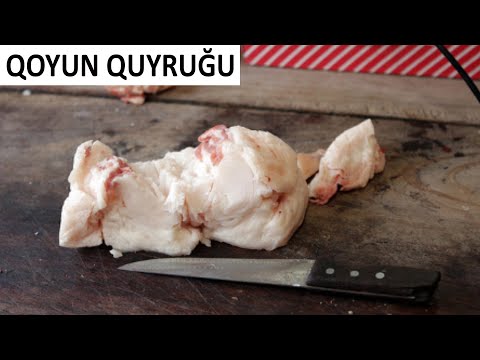 Video: Tamanduanın quyruğu varmı?