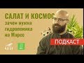 ПОДКАСТ - Салат и космос - зачем нужна гидропоника на Марсе