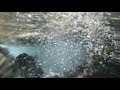 【自然音】水の中 - 2 / 1 Hour Nature Sounds - The Sound in the Water