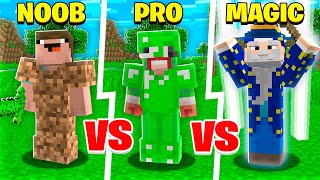 NOOB vs PRO vs MAGIC MINECRAFT PLAYER!