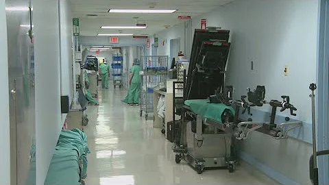 Alabama woman now longest surviving recipient of pig organ donor transplant