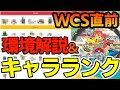 【WCS2023ゲーム部門徹底解説】ガチプレイヤー目線でポケモンSV初の世界大会環境を解説！【ポケモン SV ダブル】