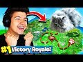 Using A CAT To WIN FORTNITE Battle Royale!