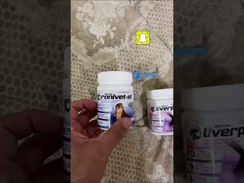 طريقة ممتازه لي علاج الاقلاع للصقور