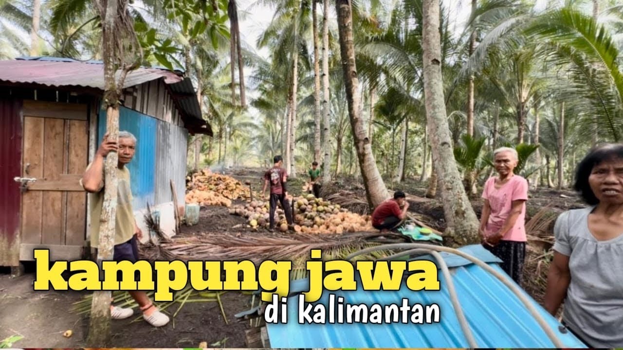 Mengintip kehidupan warga jawa diperkampungan pedalaman kalimantan