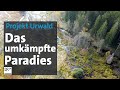Der bayerische wald  das umkmpfte paradies  abendschau  br24