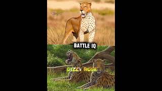 Smilodon Fatalis Vs Amphimachairodus Giganetus