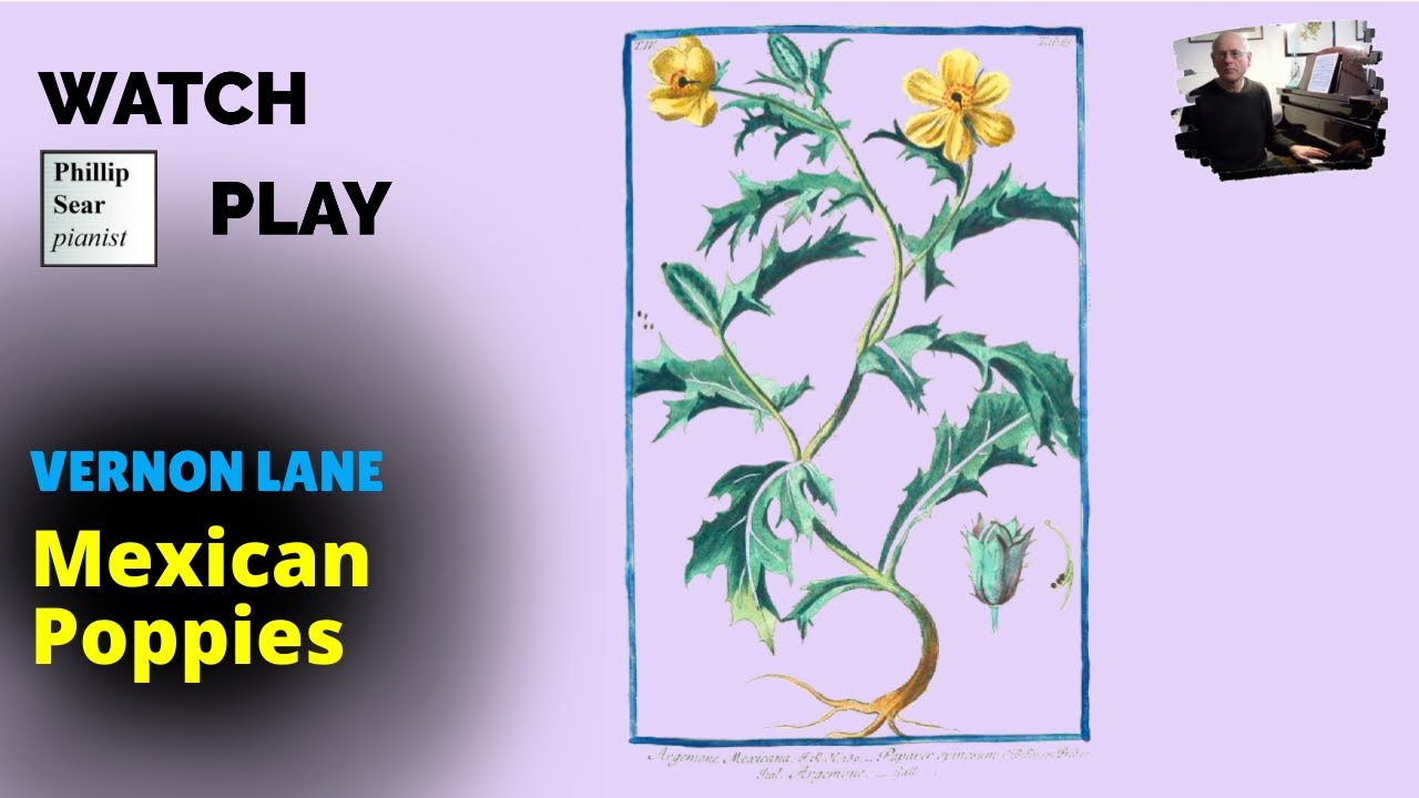 Watch Vernon Lane: Mexican Poppies on YouTube Watch Vernon Lane: Mexican Poppies on YouTube