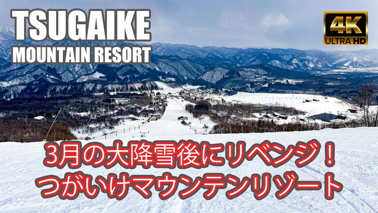 【4K SKI JAPOW】つがいけマウンテンリゾート｜3月大降雪後にリベンジ訪問｜全コース紹介：栂池高原スキー場（TSUGAIKE MOUNTAIN RESORT）-2024/3/14