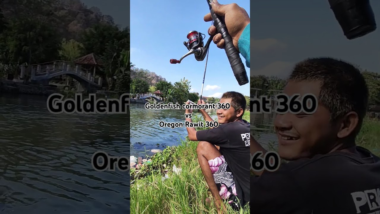 momen double strike Goldenfish cormorant 360 vs oregon rawit 360 