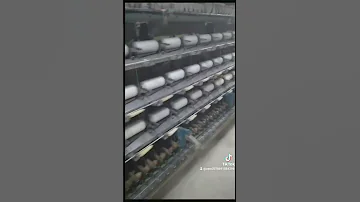حمو بيكا انا أخطر عمده فى المجال 