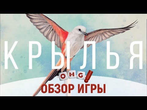 КРЫЛЬЯ (WINGSPAN) — настоящая энциклопедия птиц / обзор настольной игры