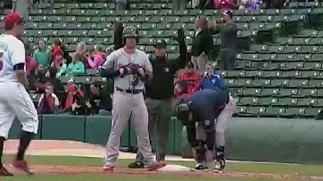 PawSox