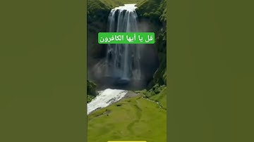 قل يا أيها الكافرون #تلاوة_خاشعة #اكسبلور #المصحف #تلاوة_مؤثرة