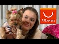 Покупки для собаки с AliExpress