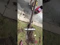 He Got The Cleanest Moment In Plumber History... (@blarneyplumbing IG)