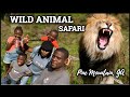 WILD ANIMAL SAFARI 🦁 🦓 🦒Pine Mountain, Georgia • VERY INTENSE • Kid FRIENDLY | Being TYMARA