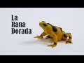 view La Rana Dorada digital asset number 1