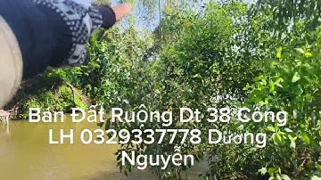 Nhà Đất Bán Đất Ruộng Dt 38 Công Giá 120tr công/1000m2 Tân Hưng Long An