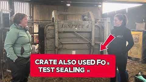 Catch up with Orla Mc Iniry who purchased an Inspect 4 roll over crate 4 years ago.