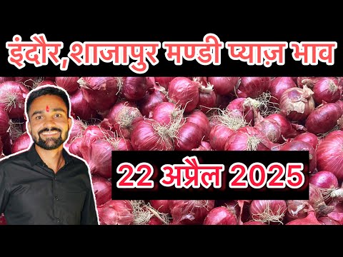 Shajapur mandi pyaj ka bhav // aaj ka pyaj bhav // pyaj bhav today #pyaj #pyajbhav #shajapur_mandi
