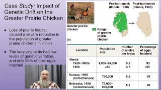 AP Bio Unit 7-Part 2B: Evolution: 7.4 Population Genetics