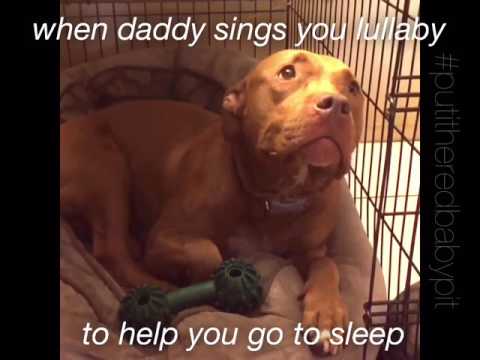 ~~~ when daddy sings you lullaby ~~~