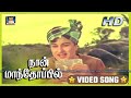நான் மாந்தோப்பில் | Naan Mandhoppil | Enga Vettu Pillai Video Song | MGR | M.S.Viswanathan 1960s HD