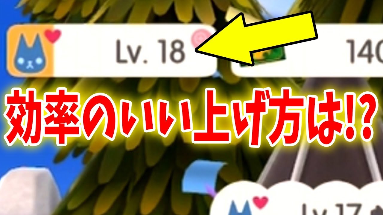 どうぶつの森 解説 一番効率のいいレベルの上げ方は ポケ森 ポケットキャンプ Youtube