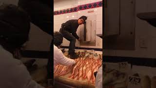 The Fish Squatter - 981060