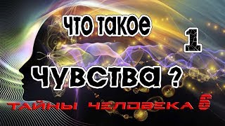 Что такое Чувства (1)