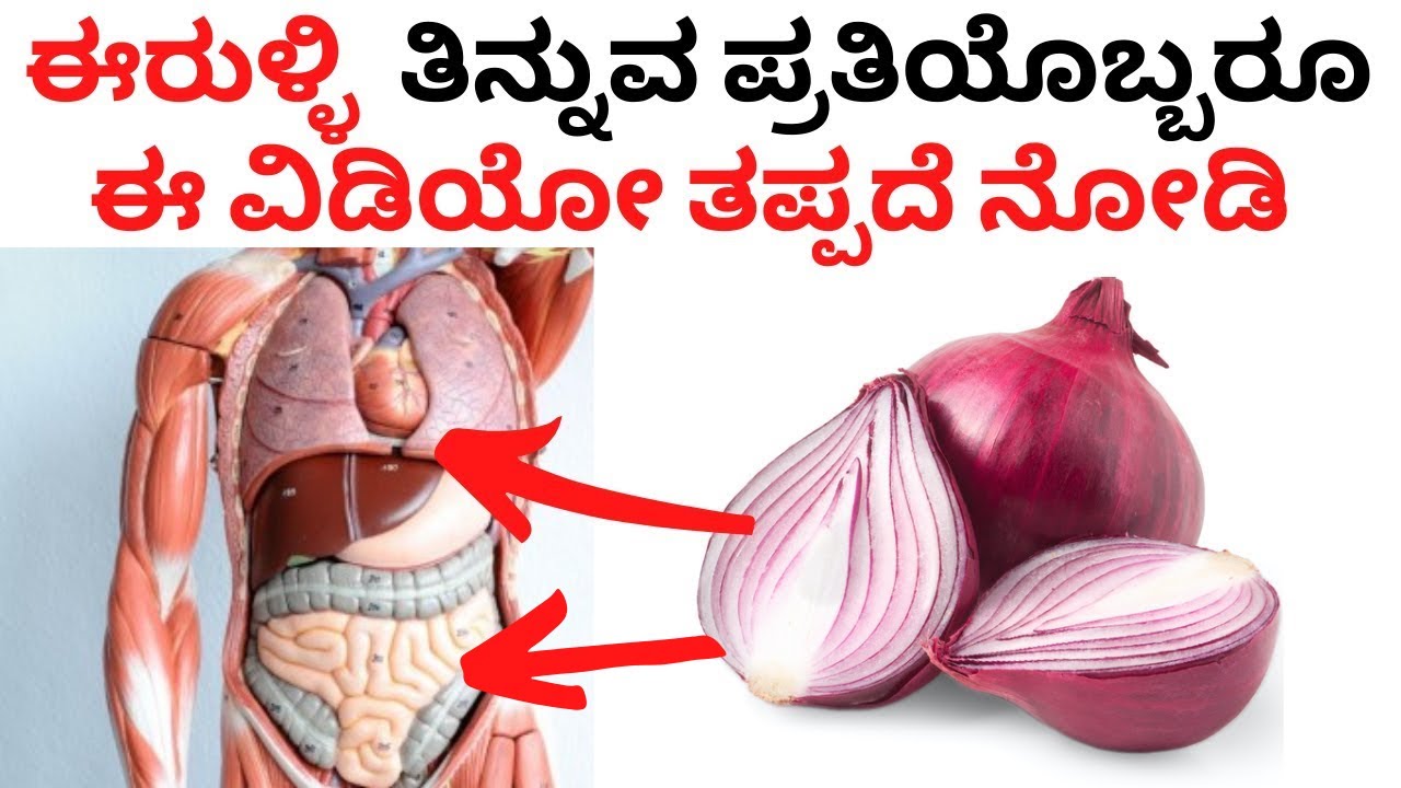 🧅😱 ಹಸಿ ಈರುಳ್ಳಿ ತಿನ್ನುವ ಪ್ರತಿಯೊಬ್ಬರೂ ಈ ವಿಡಿಯೋ ತಪ್ಪದೆ ನೋಡಿ । Benefits of Eating Onion Kannada