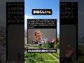 ビートたけしさん移民問題に関するど正論👏
